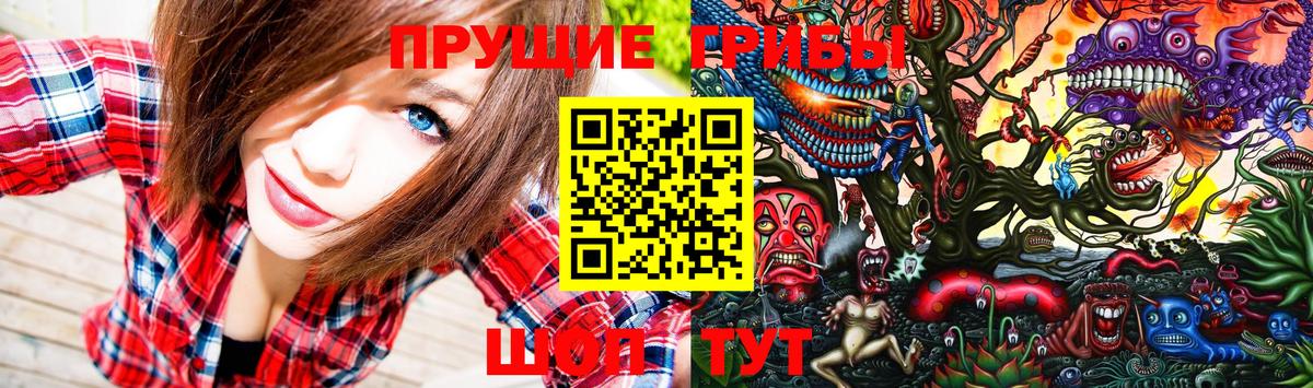 наркотики  Железноводск  Галлюциногенные грибы мухоморы 